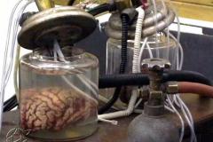 WEB_CHEMIN_5522_1260957356