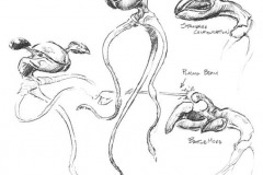 WEB_CHEMIN_49_1234965541